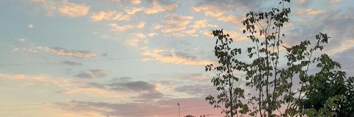 َ banner