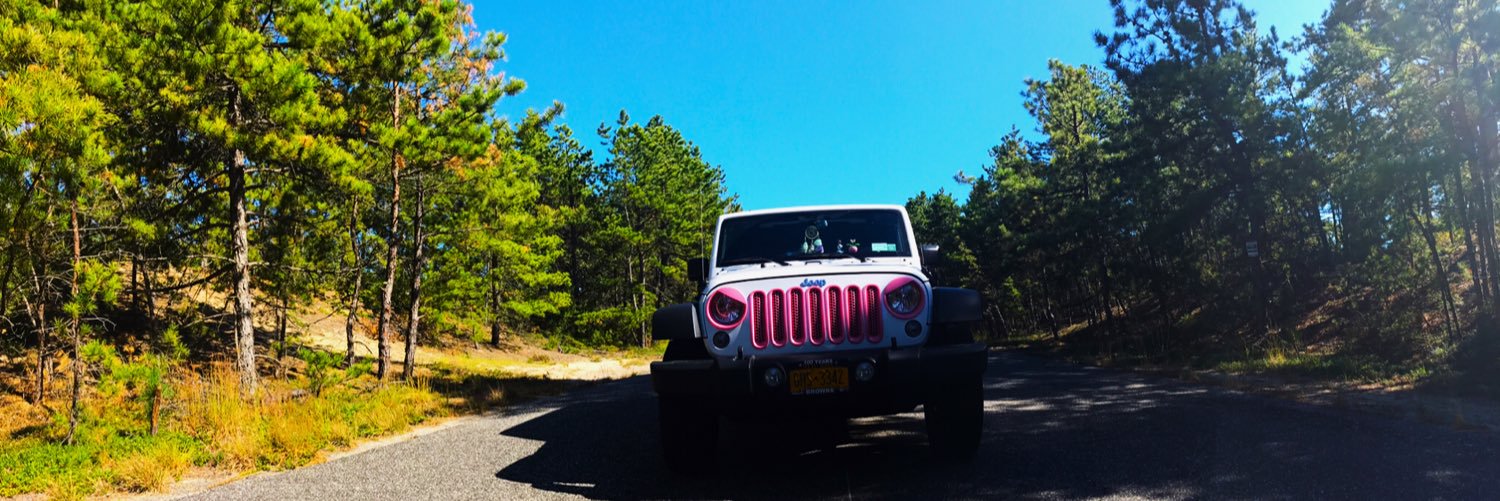 maevedowd's profile banner image