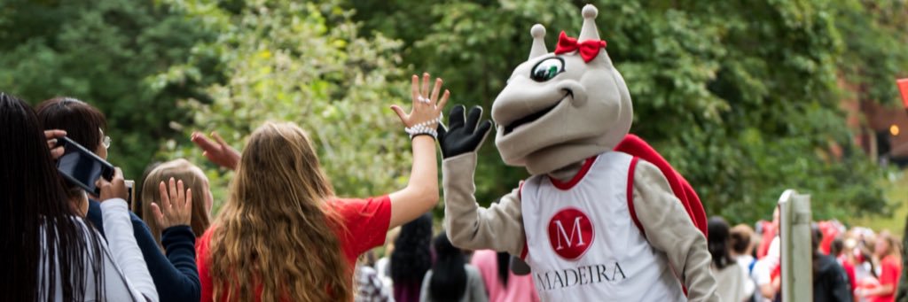 Madeira Athletics banner