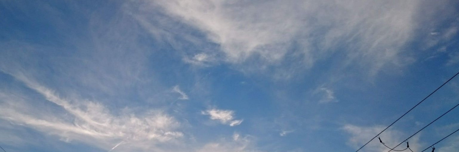 ちこ banner