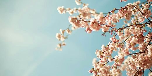 aml0873's profile banner image
