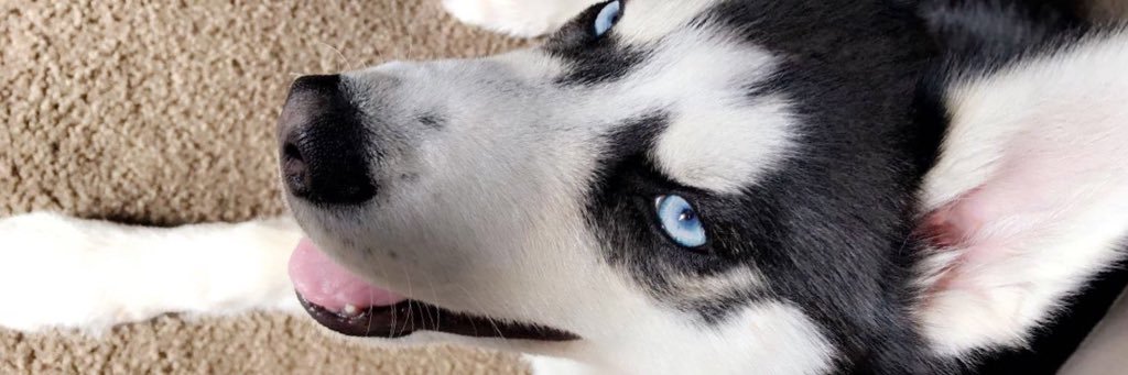 kyliechelo's profile banner image