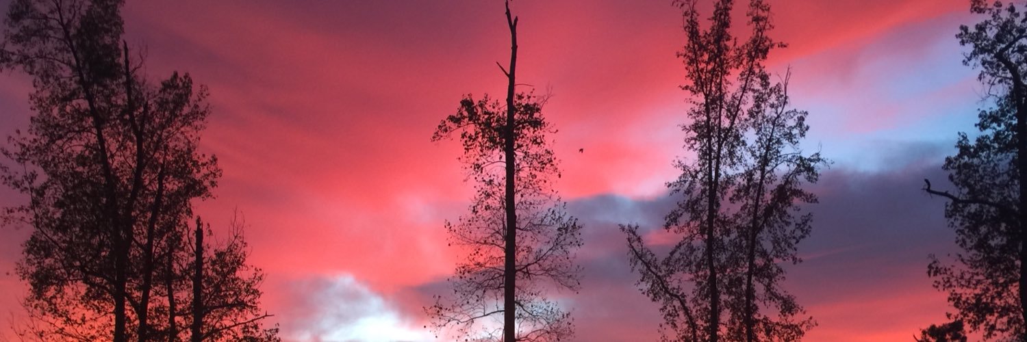 gracieleejohn's profile banner image