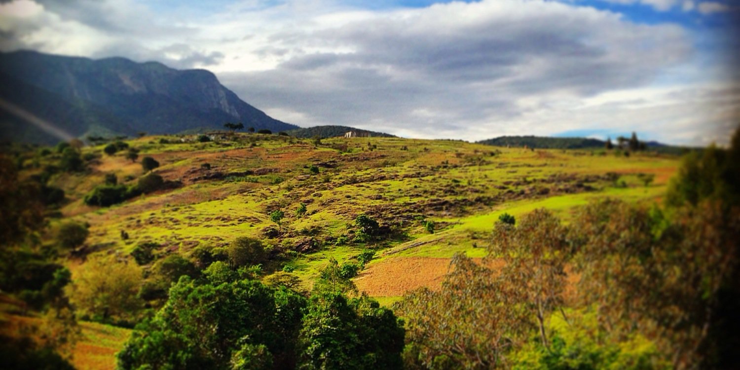 Manuel Radosh banner