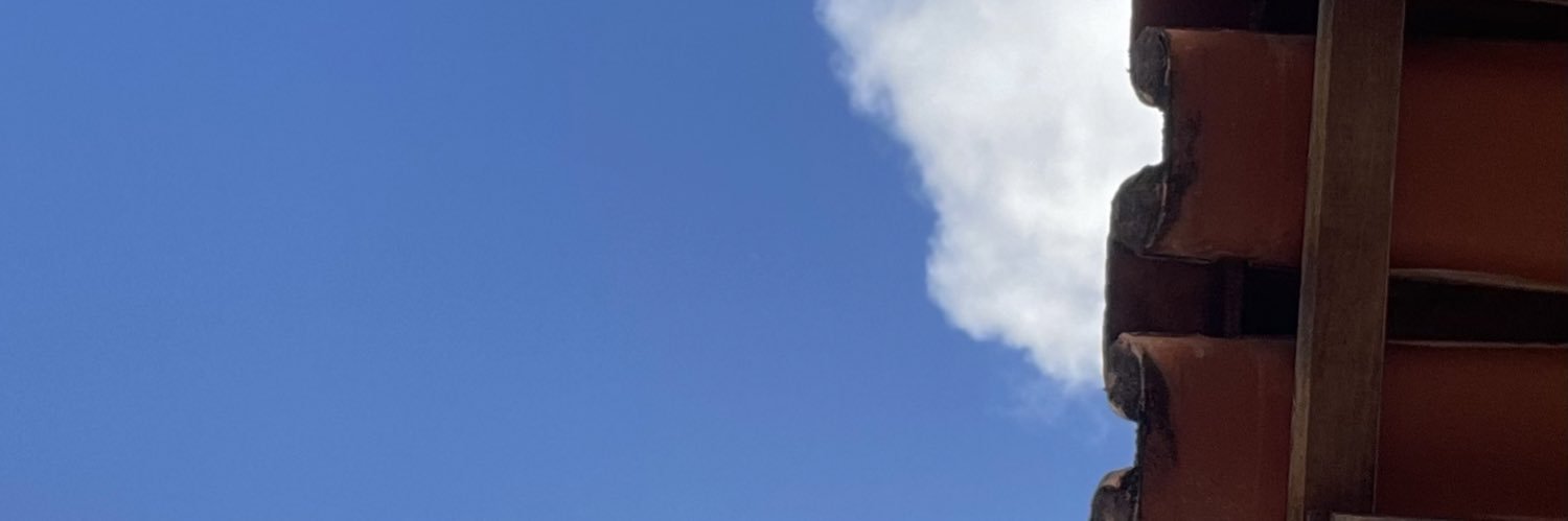 NessaLeone's profile banner image