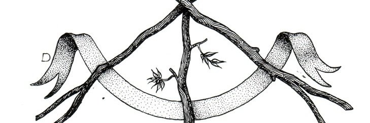 Sideshow Gallery banner