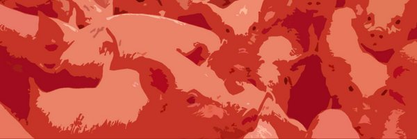 fringepig Profile Banner