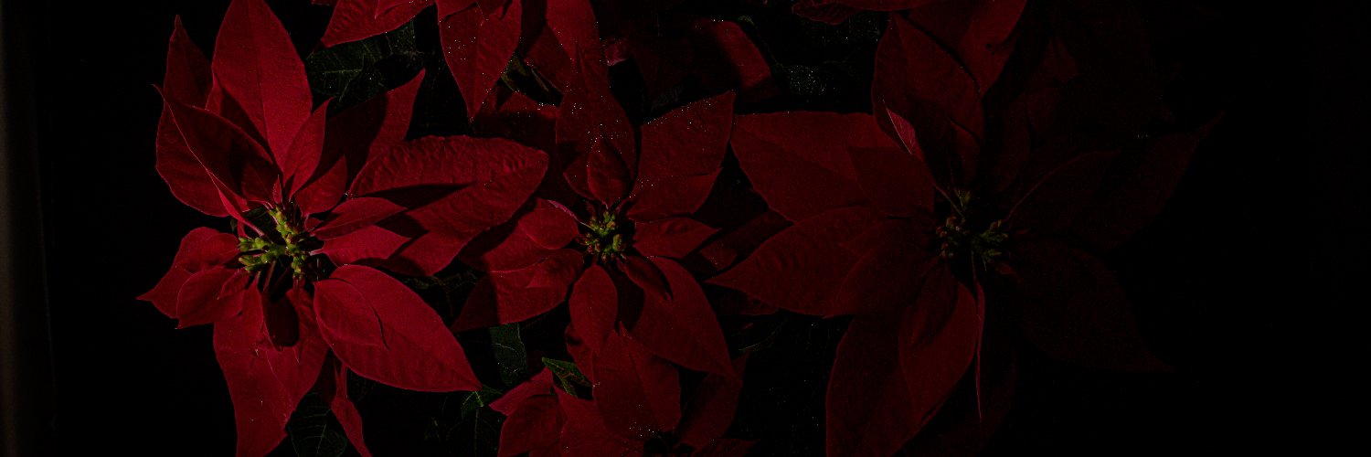 hitail1969's profile banner image