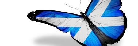 allan1329's profile banner image
