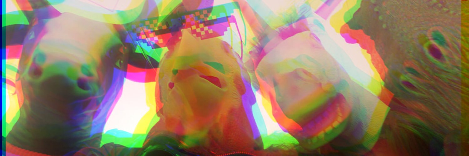 hitslaura's profile banner image