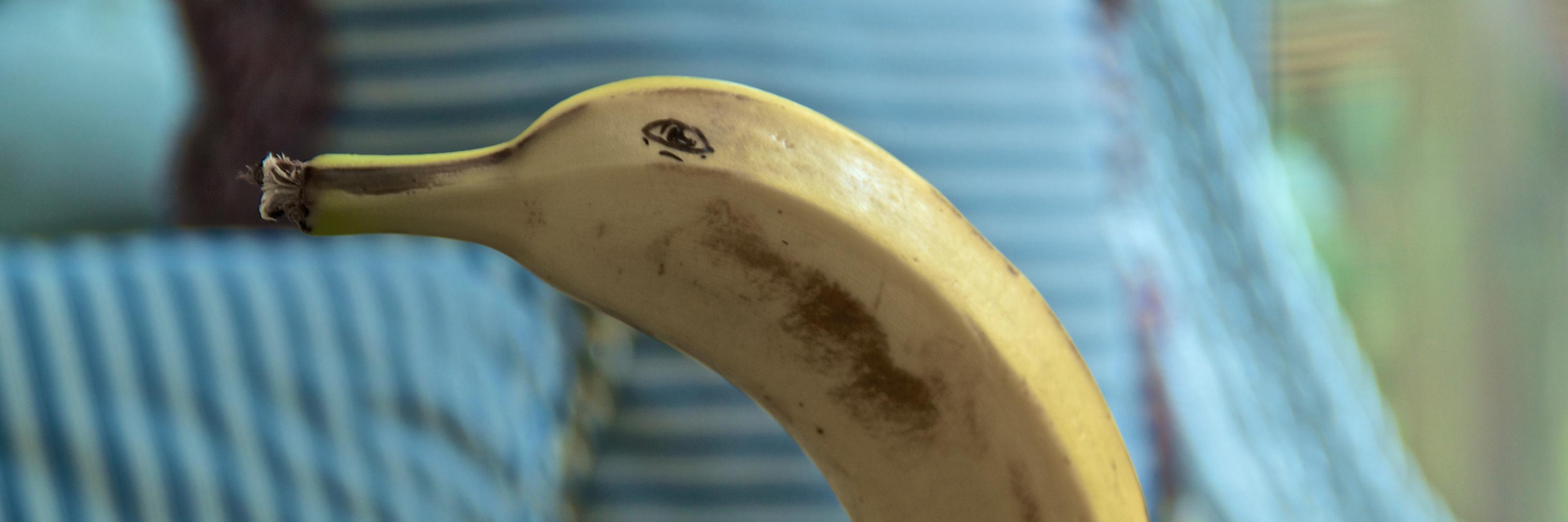 Bert_Richards's profile banner image