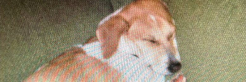 LeeElrod's profile banner image