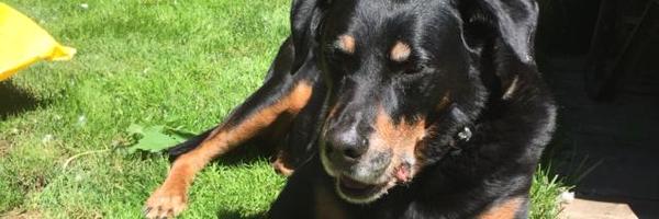 T_Monie7 Profile Banner