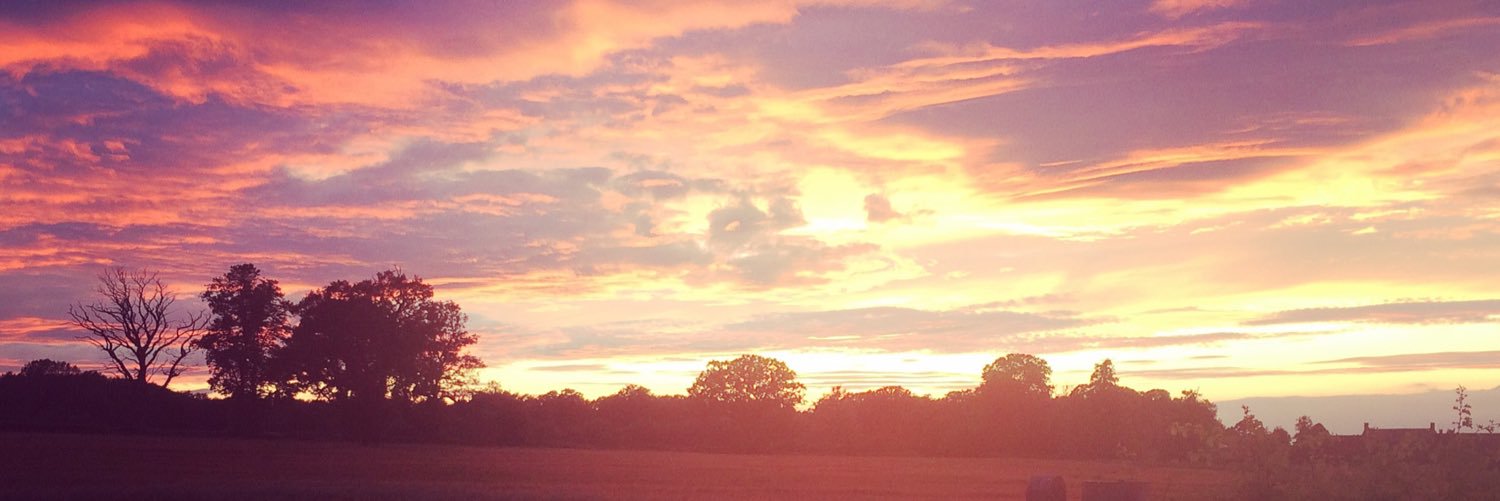 hanraybs's profile banner image