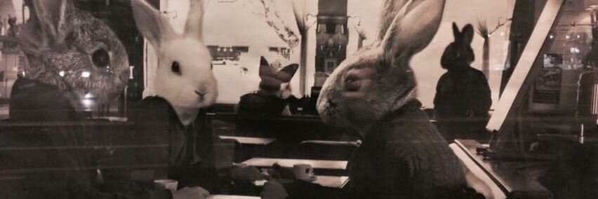 martha83's profile banner image