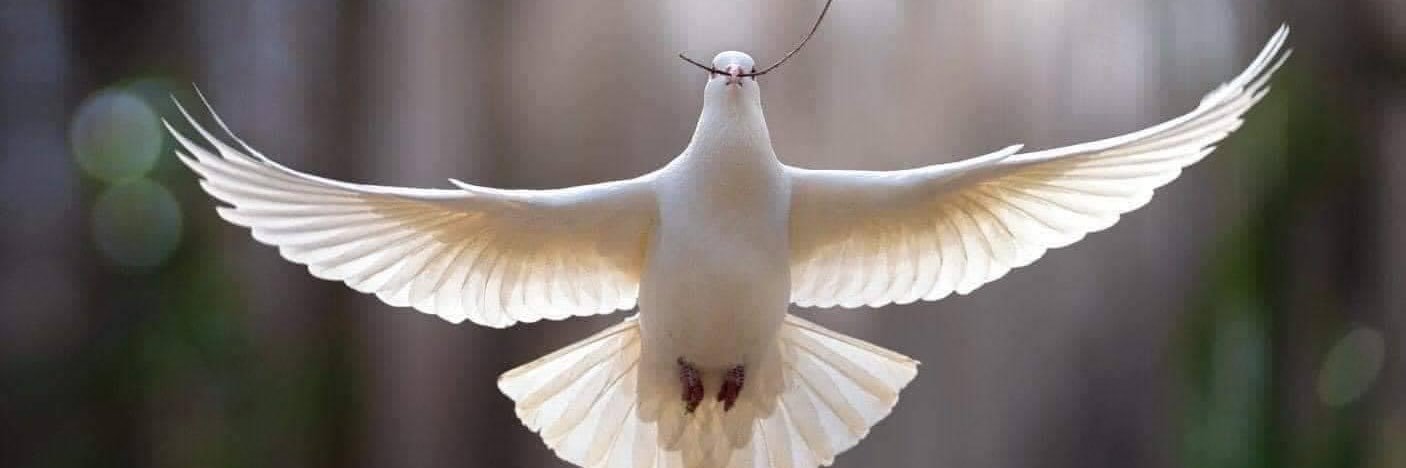 joan libbra ✝️🕊💗🇺🇸☮️🔮 banner