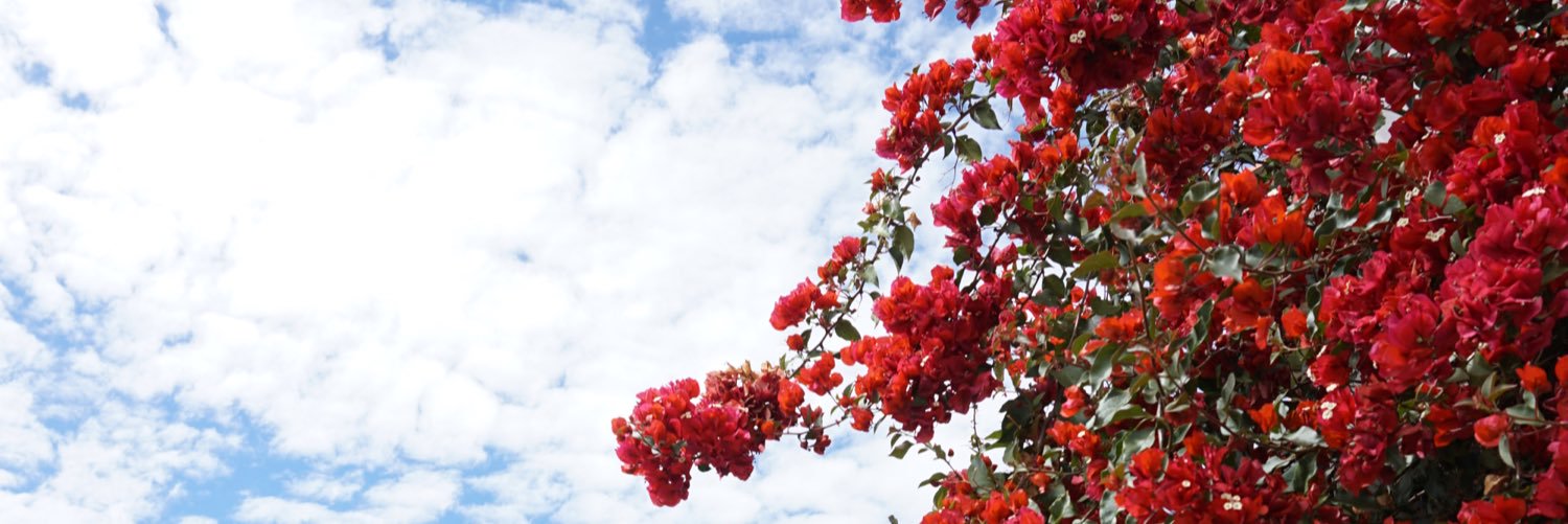 j_leeez's profile banner image