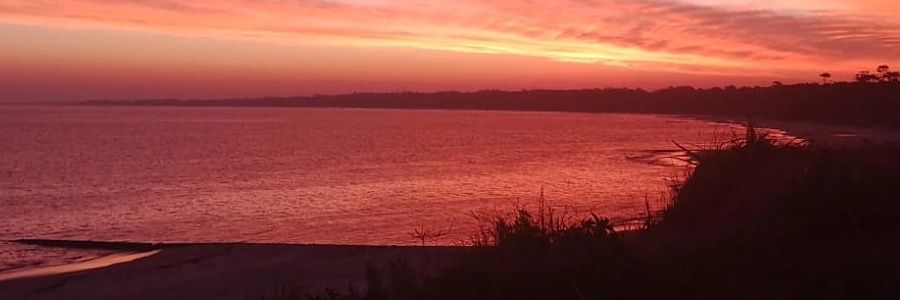 MarieJulieF's profile banner image
