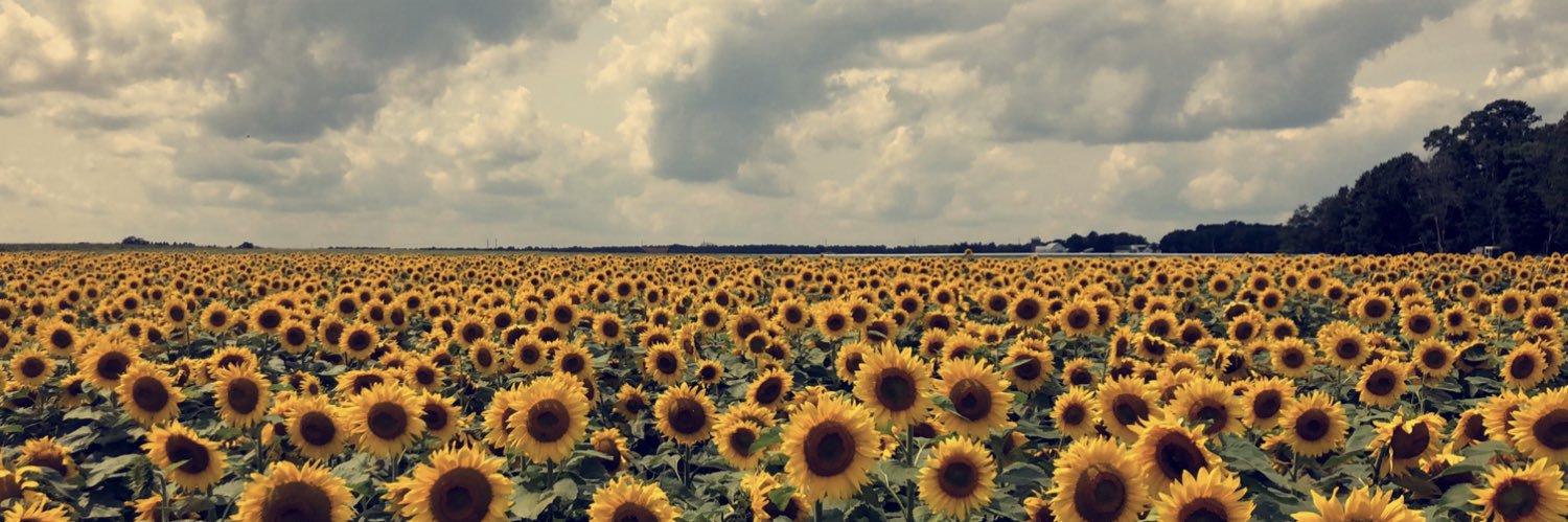 MadisonDraze's profile banner image