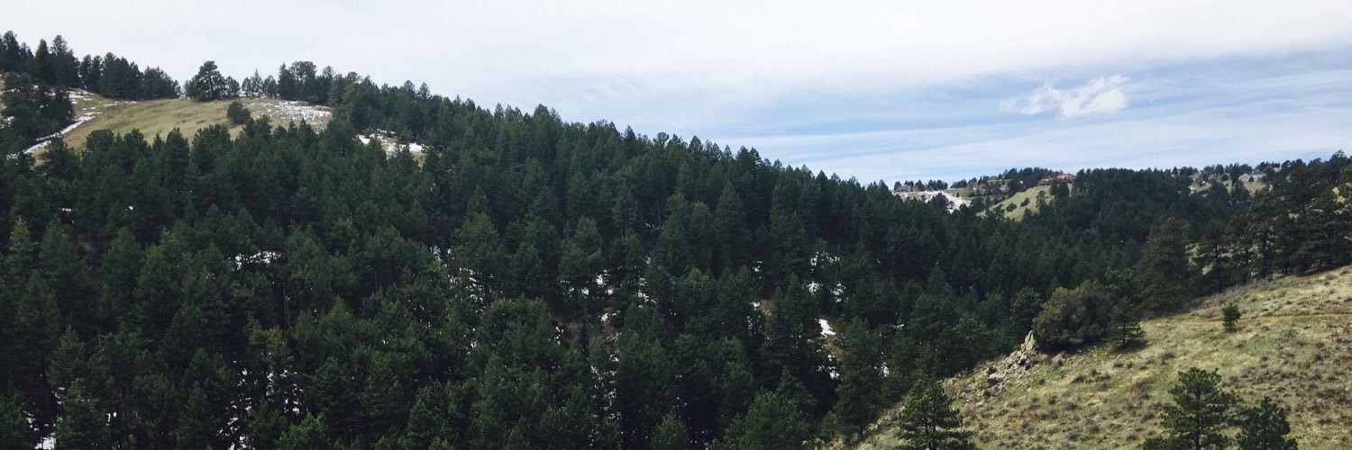 Sass_e_Boot_e's profile banner image