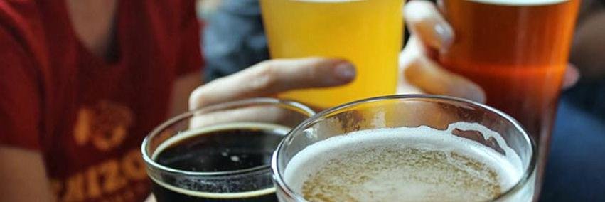 Susque GirlsPintOut banner