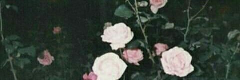 Tindrothefoooer's profile banner image