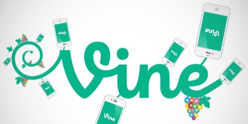 MomentVine's profile banner image