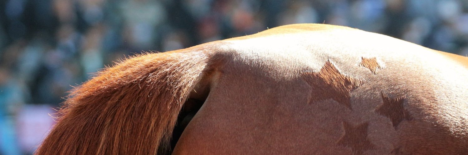 da1_510's profile banner image