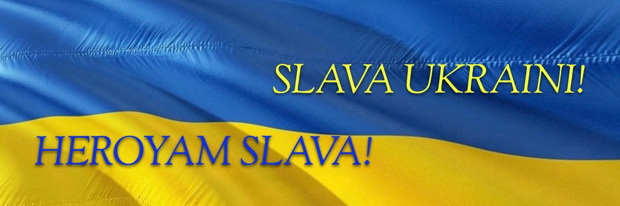 Libby Whittemore💙🪷🇺🇦's banner
