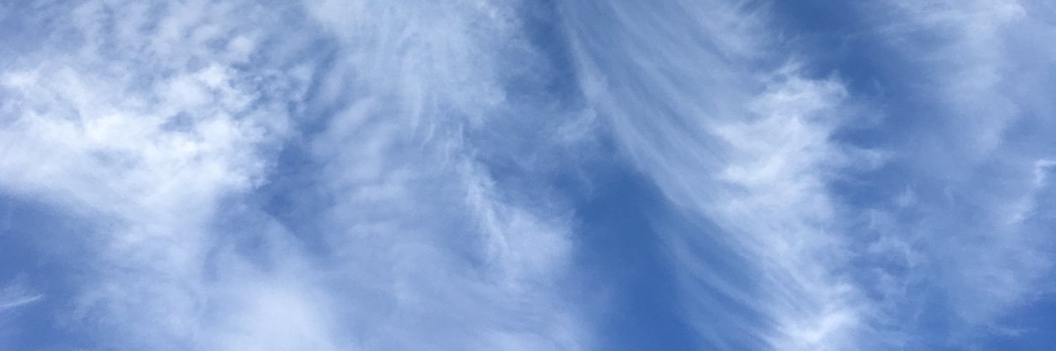 ladylainy's profile banner image