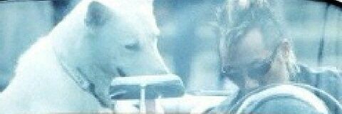 kai8223's profile banner image