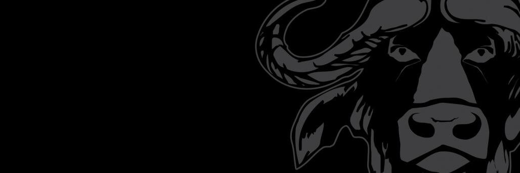 InyatiBedliners's profile banner image
