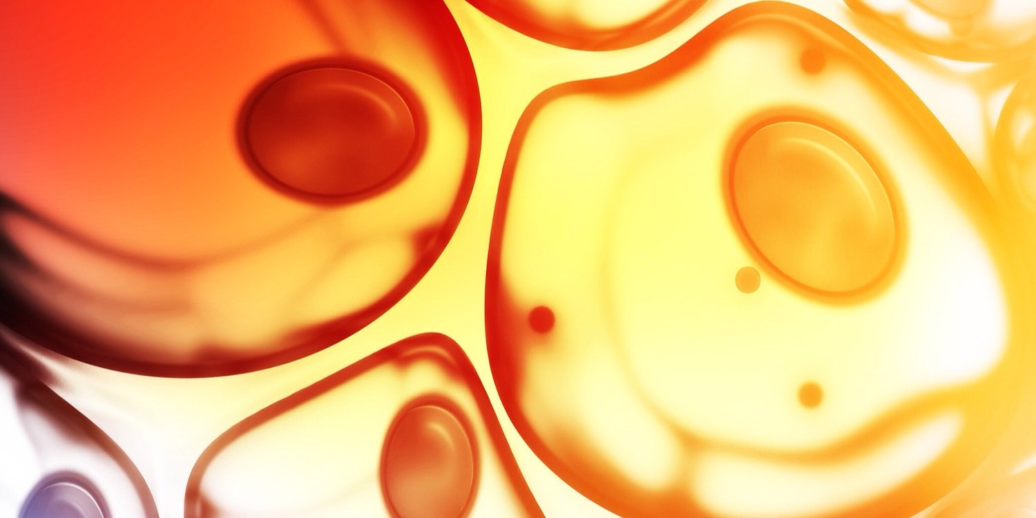 JimPipitone's profile banner image