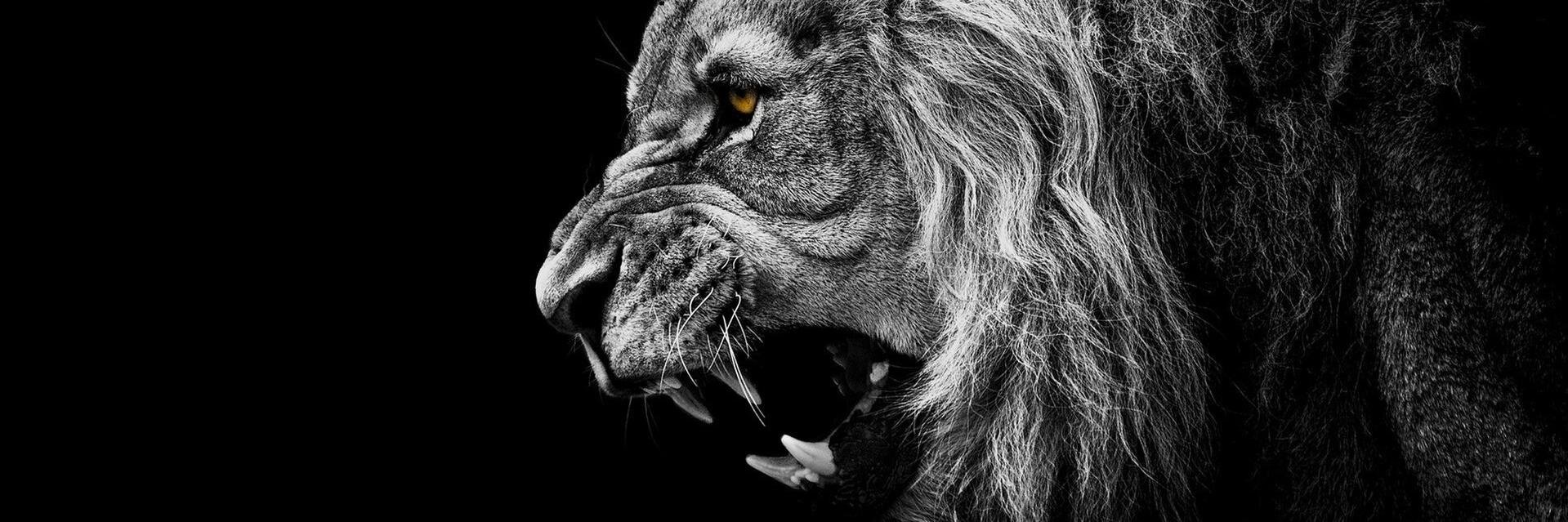 moneycall's profile banner image