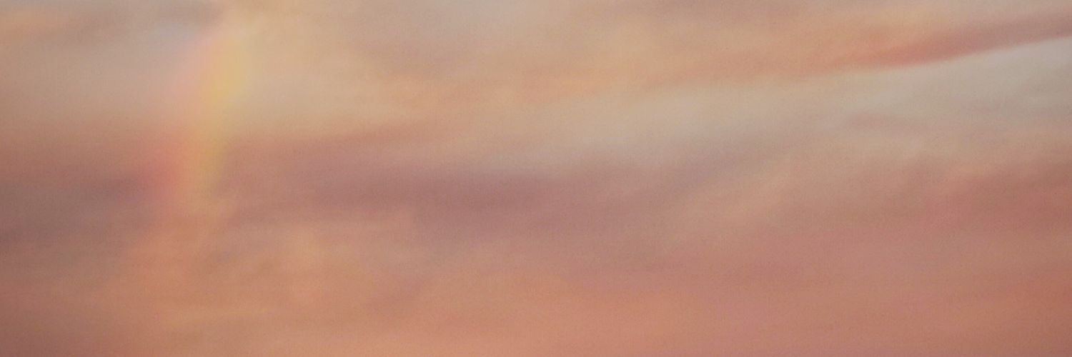 Flopa banner
