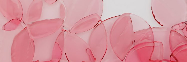 Fi's banner