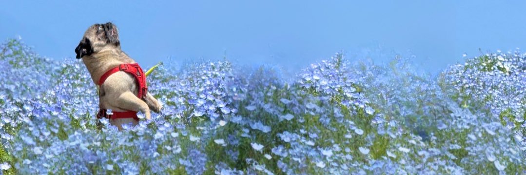 ZanderJose's profile banner image