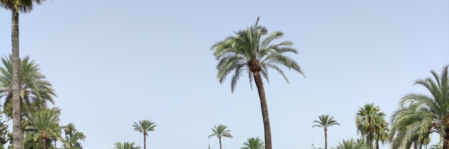 ᴍᴏʀɢᴀɴᴇ banner