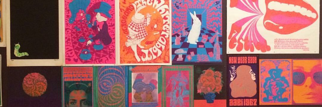 Noa Shusterman Dvir banner