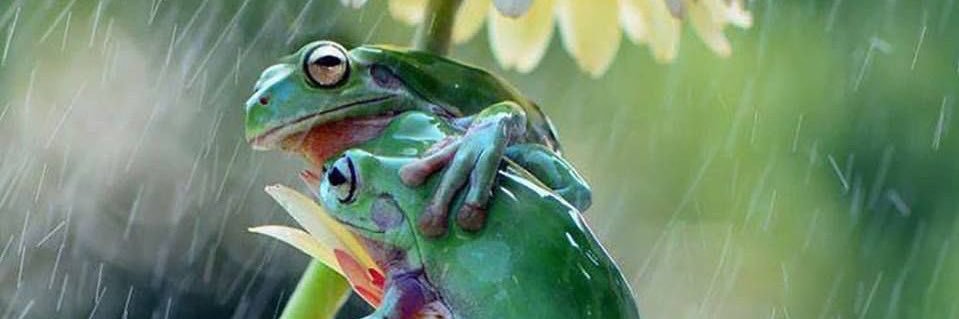 clebdemps's profile banner image