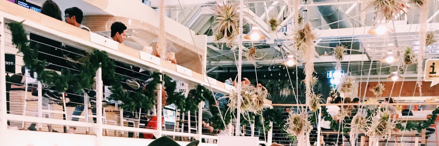 Toriseabra's profile banner image