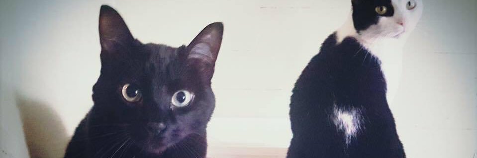 MaggzBaby's profile banner image