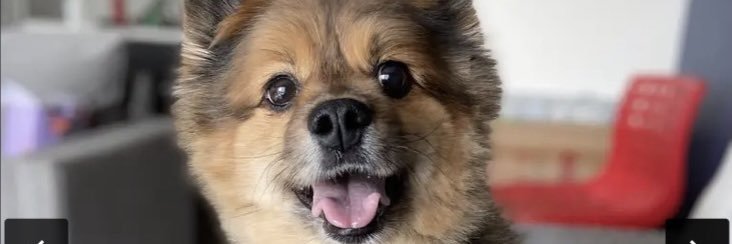 mialise_'s profile banner image
