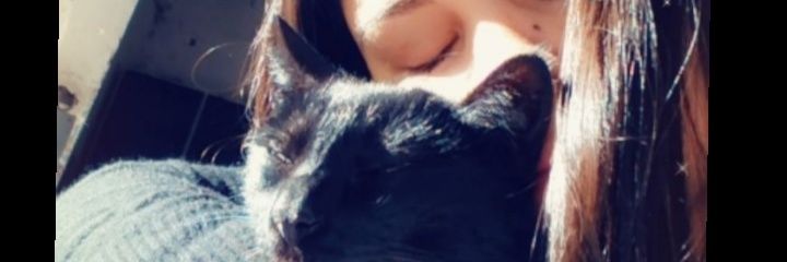 luzbritez's profile banner image