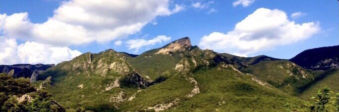 Montse Venturós banner