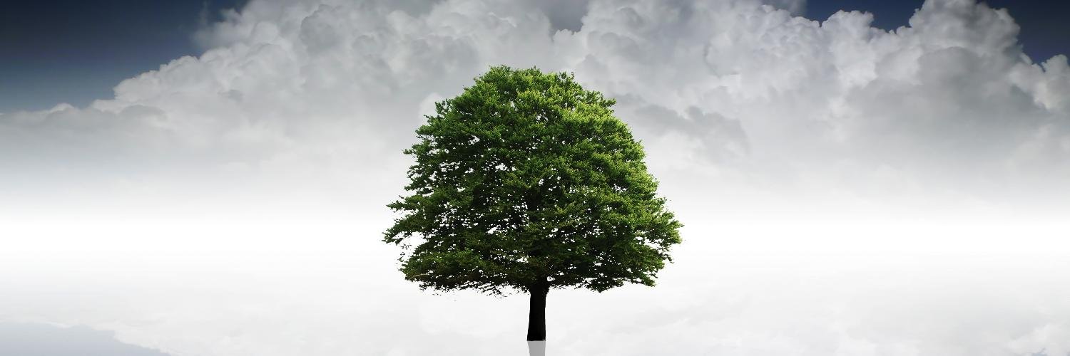 AS_Conseils's profile banner image