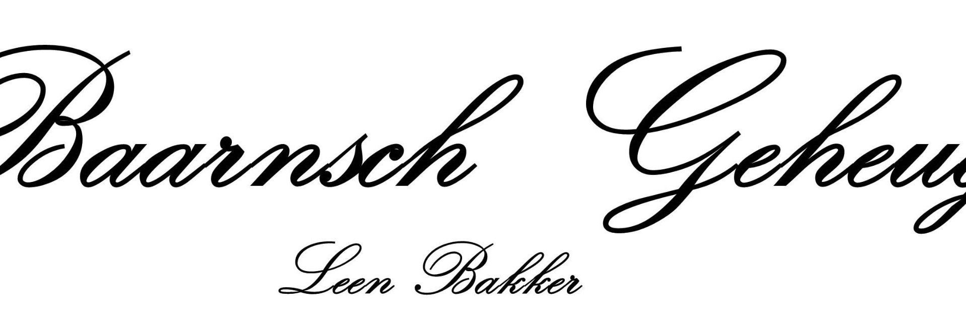 LeenGroenegraf's profile banner image
