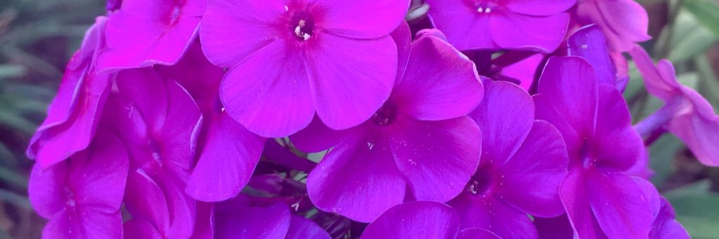 ktosc's profile banner image