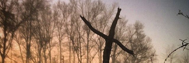 Merchant_1199's profile banner image