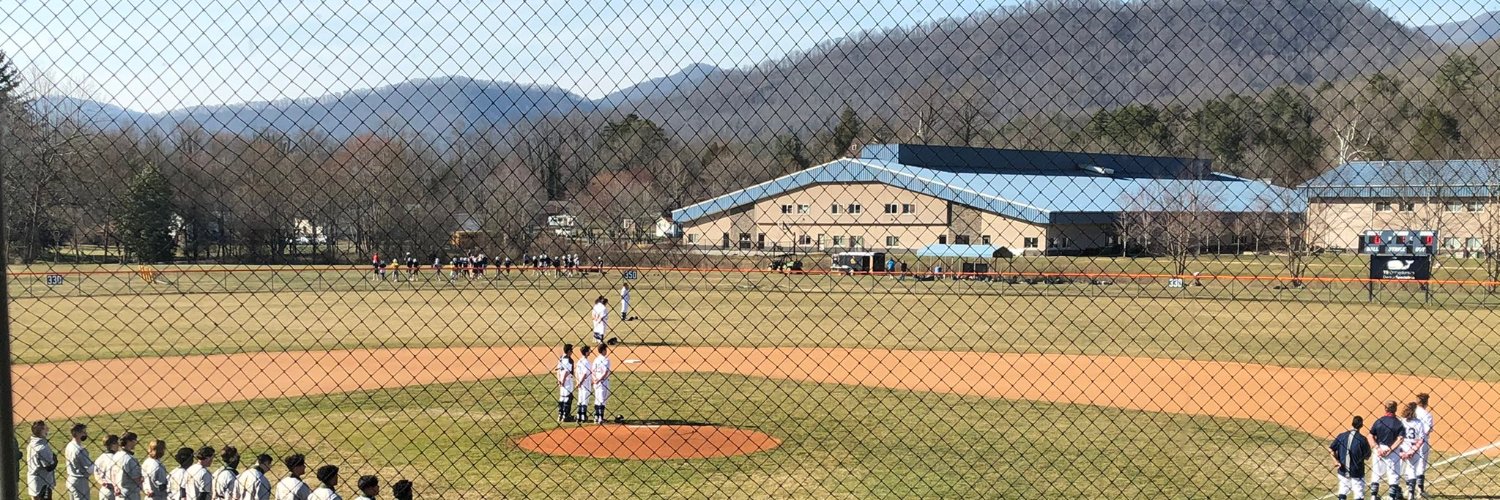 ACALionBaseball's profile banner image